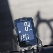 Padrone Stealth (CPSC)