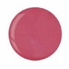 Rose With Shimmer