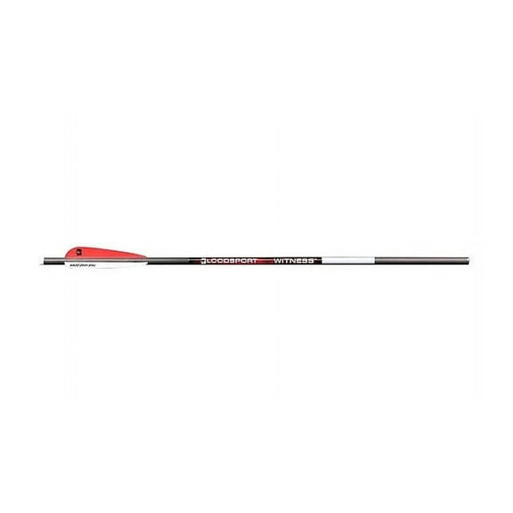 Bloodsport Witness 22" Carbon Crossbow Bolt 4" Vanes Black 6PK