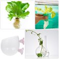 thumbnail image 3 of unbranded Soporte Transparente Con Ventosa Para Plantas Acuáticas En Acuario Y Barras, 3 of 8
