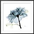 thumbnail image 2 of Teal Rose, Botanical Framed Art Print Wall Art by Albert Koetsier Sold by Art.Com, 2 of 5