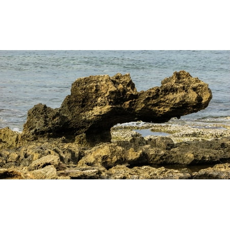Crocodile Rock - Canvas Print Cyprus Rock Protaras Crocodile Rocky Coast Stretched Canvas 10 x 14
