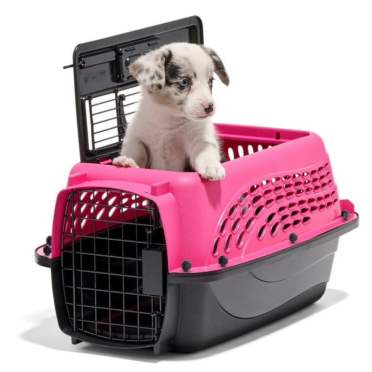 Petmate Plastic Carrier for Dogs & Cats, 2 Door Top Load Travel