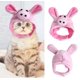 thumbnail image 1 of Sombreros para perros y gatos WD.WDQZL Hogar, 1 of 3