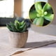 thumbnail image 2 of 3 uds suculentas artificiales/Cactus artificiales/plantas en macetas de cactus de simulación bonsái para el hogar decoración jardín verde, 2 of 5