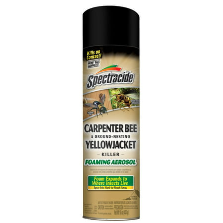 2 Pack Spectracide Carpenter Bee & Nesting Yellowjacket Killer Spray 16oz