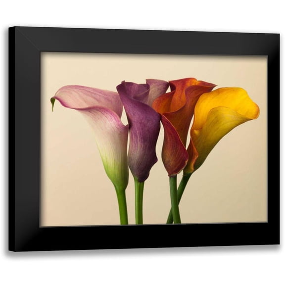 Frank, Assaf 14x12 Black Modern Framed Museum Art Print Titled - Four calla lilies