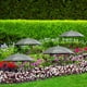 thumbnail image 3 of Sombrilla para Plantas de Exterior, Ajustable, con Protección Solar, para Jardín, para Macetas., 3 of 6