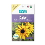 Back to the Roots Organic Rudbeckia Gloriosa Double Daisy Flower Seeds, 1 Packet