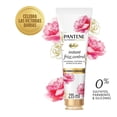 thumbnail image 1 of Acondicionador Pantene Pro-V nutrient blends instant frizz control 235 ml, 1 of 4