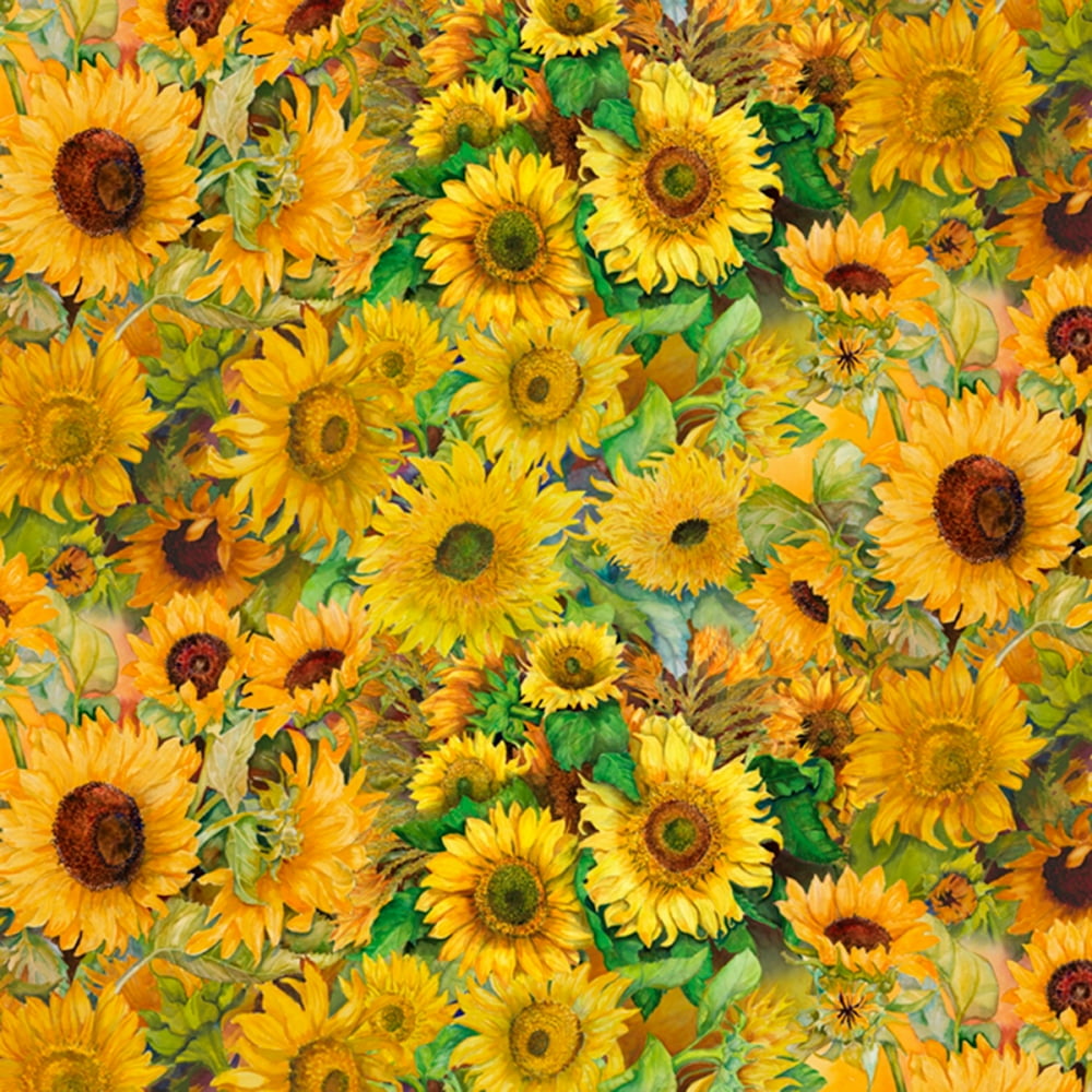 David Textiles Floral Field of Sunflowers Multicolor 100 Cotton Fabric