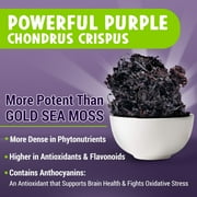 Maju Superfoods Purple Sea Moss Mineral Supplement Immune, Bone & Joint Support 60 Count 60 Capsules