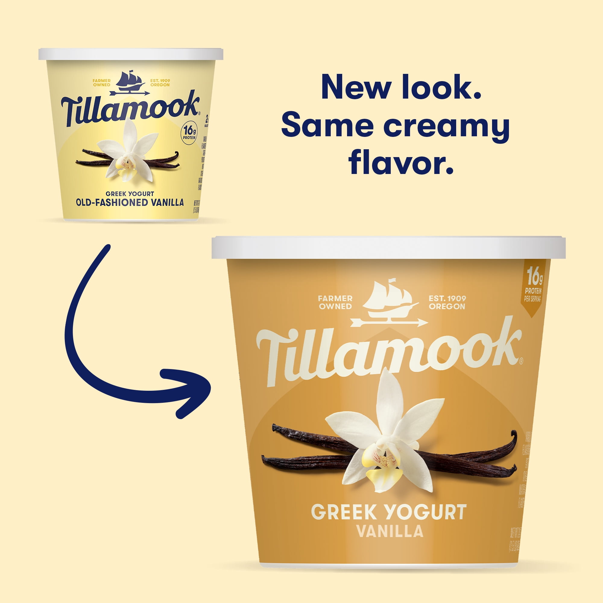 Tillamook Vanilla Greek Yogurt, Blended, 16g Protein per Serving, 24 oz Tub