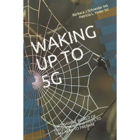 Waking Up to 5g: THE INVISIBLE WORLD OF FREQUENCIES and STEPS TO TAKE NOW TO PREPARE, (Paperback)