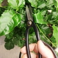 thumbnail image 4 of Ciseaux à Bonsaï, Sécateurs, Outils de Jardinage - Noir, 4 of 7