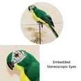 thumbnail image 4 of TOP-MAX Artificial Feather Parrot Bird Fake Parrot Parrot Crafts Simulation Parrot Home Decation, 4 of 8