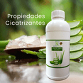 thumbnail image 2 of Jugo de Sábila Concentrado Orgánico (Aloe Vera) 100% Natural Sin Azúcar 1 Litro Radiant Xtend Aloe Vera, 2 of 9