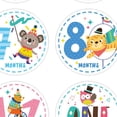thumbnail image 3 of 12 Uds. mensuales para bebés, para del recién nacido, etiquetas adhesivas para álbumes de recortes, de perfecl Tarjetas de registro mensuales, 3 of 4