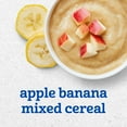 thumbnail image 3 of Gerber Stage 2 Baby Food, Apple Banana Mixed Cereal Puree Tubs, Baby Cereal 8 oz, 3 of 16