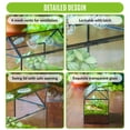 thumbnail image 5 of NCYP Glass Terrarium with Lid, Ventilation Holes for Indoor Plants, Succulents, Cactus, House-Shaped Clear Box, Terrarium Only, 5 of 10