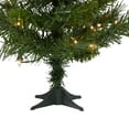 thumbnail image 5 of Northlight Pre-Lit Medium Royal Pine Artificial Christmas Tree - 2' - Clear Lights, 5 of 6