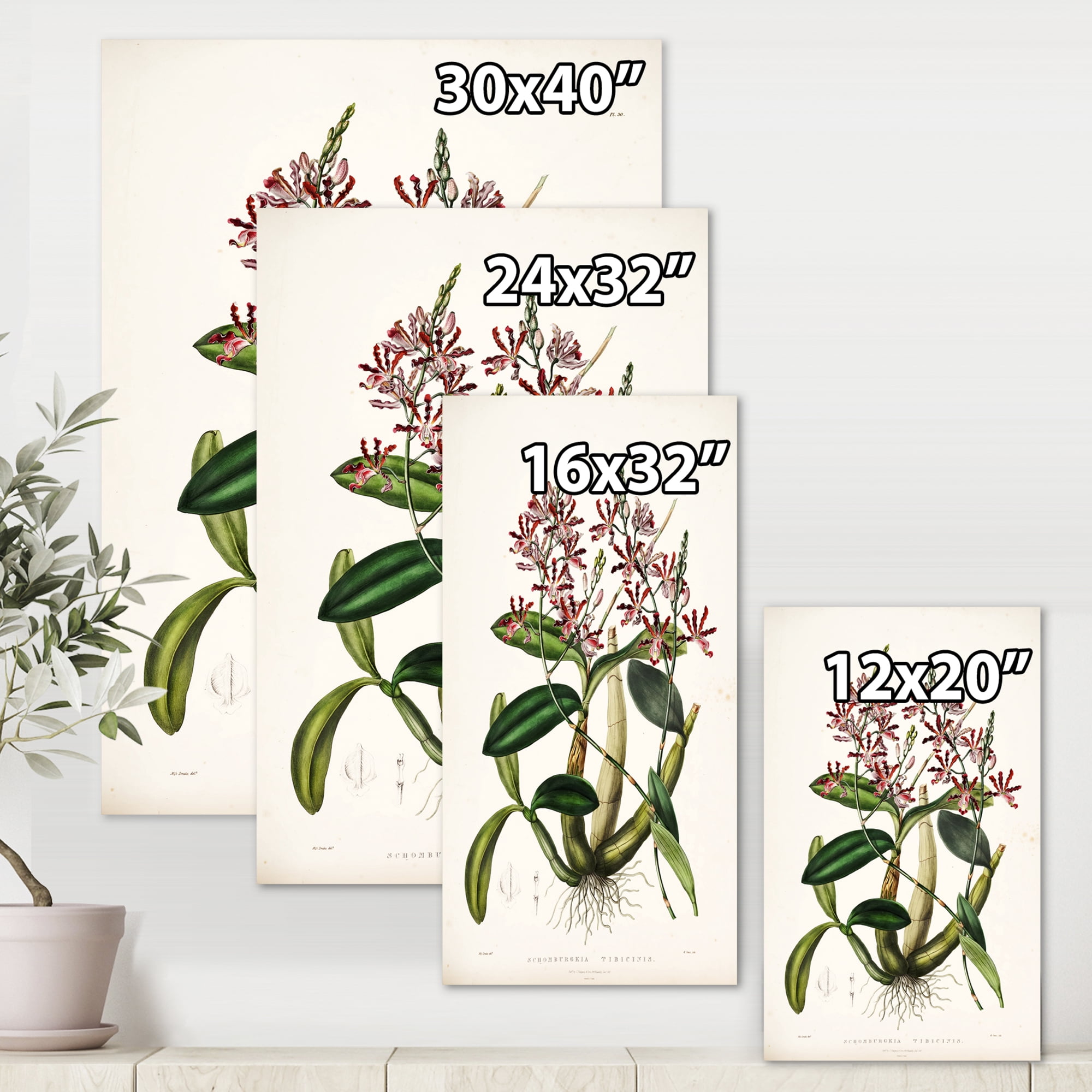 Designart ' Ancient Plant Life VII ' Traditional Canvas Wall Art Print