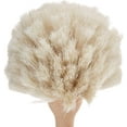 thumbnail image 2 of Fox Run 5" Dish Kitchen Brush, 2 of 6