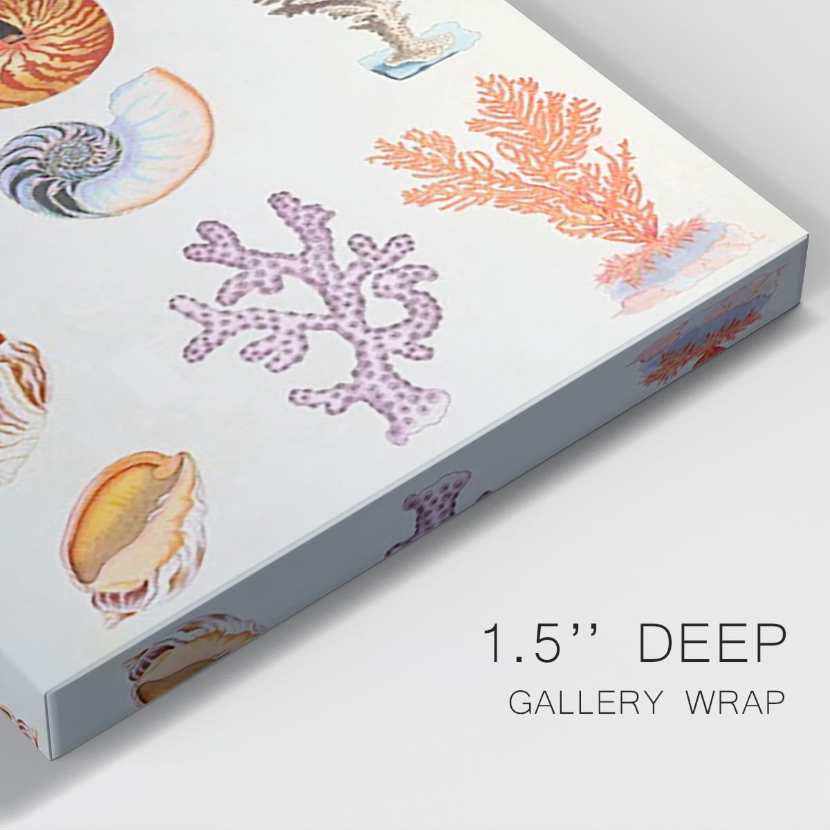 Coral & Shell Collage I Premium Gallery Wrapped Canvas - Ready to Hang