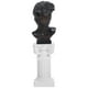 thumbnail image 1 of GOOHOCHY 1 juego de busto de David, estatua romana de David, escultura de resina decorativa, figura de David, 1 of 8