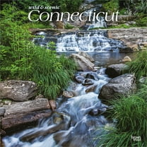 Connecticut Wild & Scenic | 2026 12x24" (Hanging) Wall Calendar | Plastic-Free