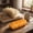 B, variant on 1PC Bread Stress Balls for All Ages,Squeezing Fidget Toys,Stress Relief Squish Balls,Vent Mood and Improve Focus,Hand Grip Pressure Balls for Daily Life,Desktop Decor Gift,5.9*3.1*2in.