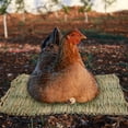 thumbnail image 3 of 4pcs Chicken Nesting Cushion Chicken Bedding for Coop Chicken Bedding Cushion Chicken Coop Mat, 3 of 8
