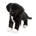 thumbnail image 1 of Peluche Douglas Twister Black Lab/Pit Bull Mix Douglas Douglas, 1 of 1