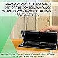 T3-R Sticky Traps for Bugs Extra Large (12 Pack) - Mouse and Insect Glue Boards - Disposable Non-Toxic Glue Traps for Mice and Rats - Extra Strength Sticky Glue Traps for Rodent