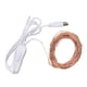thumbnail image 1 of Cadena De Luces Para Exteriores, 10 M/32,8 Pies, Cadena De Luces De Alambre De Cobre USB Con Ahorro De Energía, Fácil De Operar, Segura Para Exteriores, 1 of 7