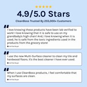 CleanBoss Everyday Multi-Surface Cleaner, Soft Lavender, 24 fl oz