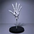Super Movable 11 Hand Model Finger Joint Finger Joint Painting Body
