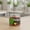 Red, variant on Zeiwohndc Realistic Floating Corn Fishing Baits Simulation Soft Artificial Baits Corn