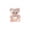 A002- Brown, variant on Storage Container Clear Mini Teddy Bear Resin Figurine with Pink Lid Decorative Storage for Desk Craft Supplies Micro Landscape Displays