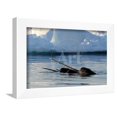 thumbnail image 1 of Narwhal Monodon Monoceros Showing Tusks Above Water Surface Baffin Island, Nunavut, Canada, Framed Art Print Wall Art by Eric Baccega Sold by Art.Com, 1 of 5