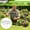 1Pc_18.7*11.42Inch, variant on Heavy Duty Metal Garden Trellis for Climbing Plants, Rustproof Fan-Shaped Plant Support, Outdoor Decorative Structure for Vines, Flowers, and Vegetables, 40 Inches Tall, Black Finish