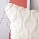 thumbnail image 4 of Paquete de 2 fundas de almohada decorativas de terciopelo de lana corta de felpa suave, funda de cojín de estilo lujoso, funda de almohada para sofá, dormitorio, cuadrado, 4 of 7