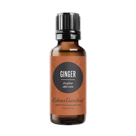 Edens Garden Ginger Essential Oil- 100% Pure Premium Grade Undiluted Natural Therapeutic Aromatherapy The Best for Diffuser Skin Candle Kid Safe 30 ml (1 fl oz)
