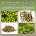 thumbnail image 5 of Te de Ruda 40g - Rue Loose Leaf Tea for Relaxation & Well-Being, Ruta Graveolens, Natural Herbal Tea from Peru (1.4oz) by Hanan, 5 of 10
