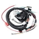 thumbnail image 1 of Arnes Cableado Completo Electrico Moto Tornado 250 Kinlley, 1 of 4