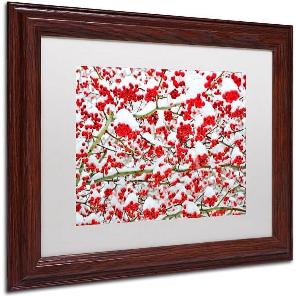 Trademark Fine Art "Winter Berries in the Snow" Canvas Art by Kurt Shaffer White Matte, Wood Frame
