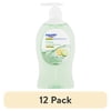 (12 pack) Equate Citrus Antibacterial Liquid Hand Soap, 11.25 fl oz