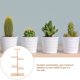thumbnail image 5 of Bandeja de madera con decoración rústica para tartas, pequeñas plantas suculentas vivas, 5 of 5