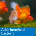 thumbnail image 4 of Limpiador de acuarios API GOLDFISH AQUARIUM CLEANER, botella de 120 ml, 4 of 6