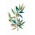 thumbnail image 2 of Jensen, Asia 17x24 Black Ornate Wood Framed with Double Matting Museum Art Print Titled - Olive Branch II, 2 of 4